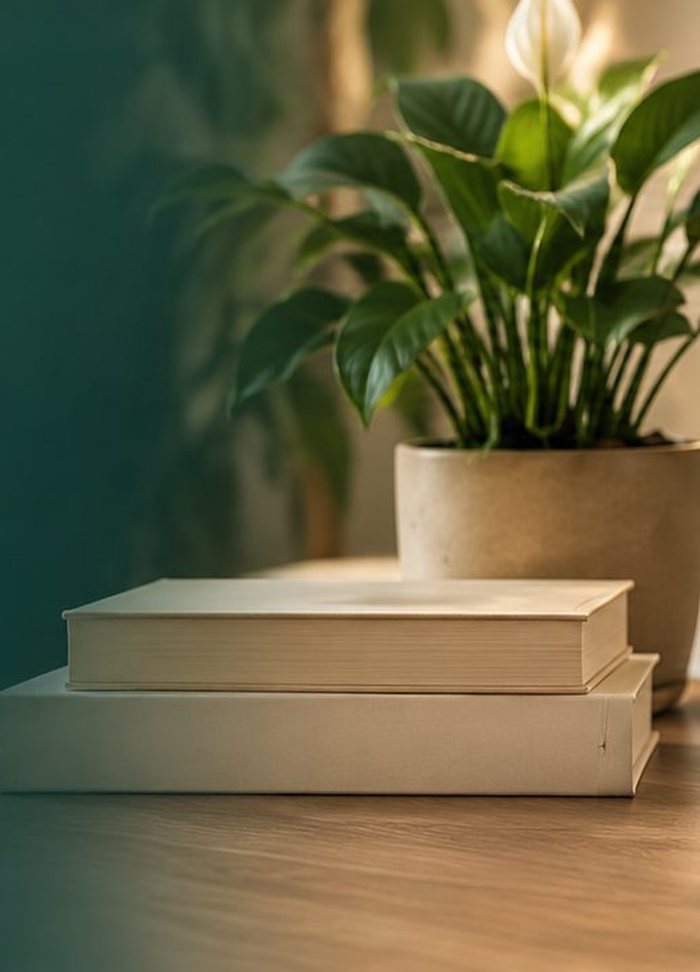 Planta e livros sobre uma mesa de madeira, em ambiente doméstico tranquilo.